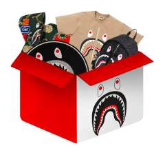 Bape Box mystery blind box