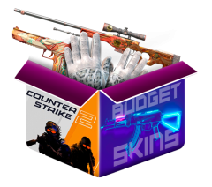 Budget Skins mystery blind box