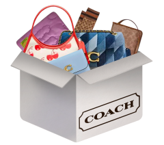 Coach Box mystery blind box