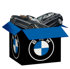 Cruisin In My BMW mystery blind box