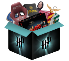Harry Potter mystery blind box
