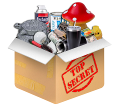 Hidden Secrets mystery blind box