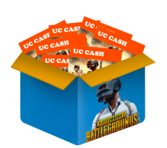 PUBG Gift Cards mystery blind box