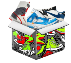 Pumped Up Kicks mystery blind box