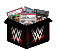 WWE Trading Cards mystery blind box